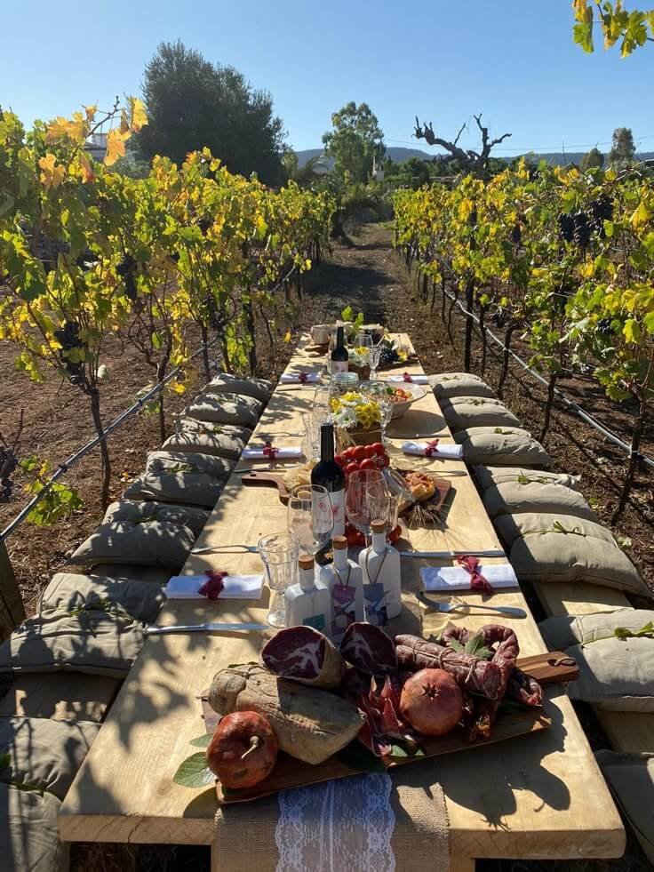 Mesa entre viñedos donde turistas disfrutan de una experiencia enoturística